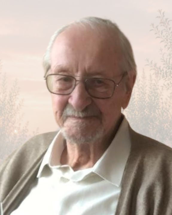 Verheylezoon Walther 